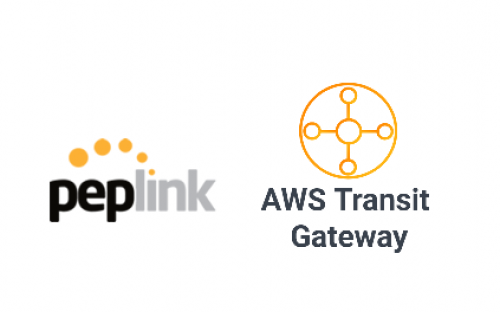 Peplink and AWS Transit Gateway